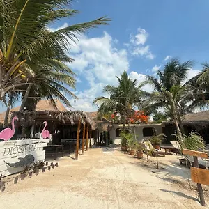 *** Hotel La Diosa Kali Front Mexico